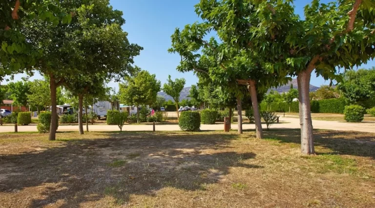 Camping & Bungalow Salatà