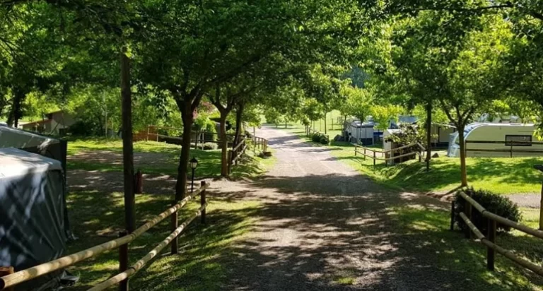 Camping La Vall de Campmajor