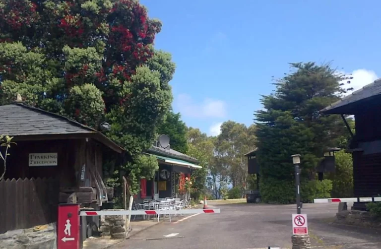 Camping Playa de Tauran