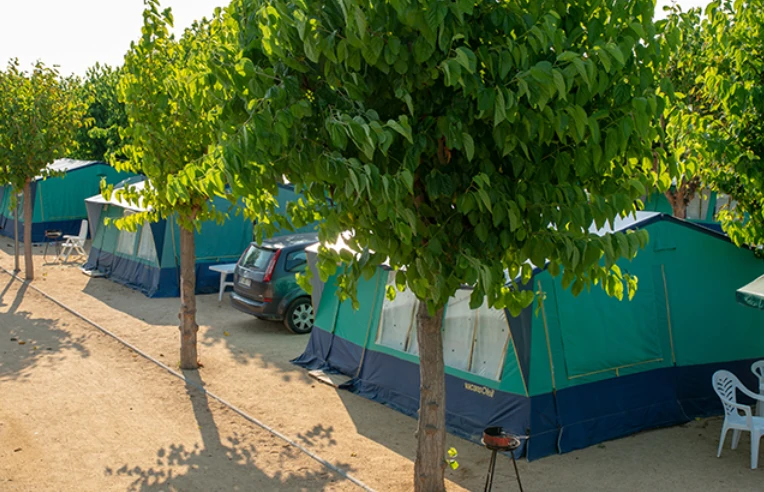 Camping Resort Els Pins